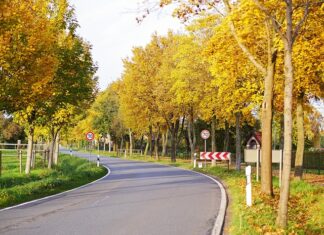 Jak ominąć płatną autostradę w Słowenii?